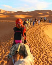 Best Time to Visit Morocco for a Desert Tour