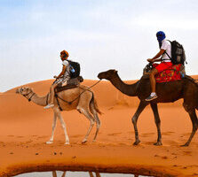 Two people riding camels in desert Morocco